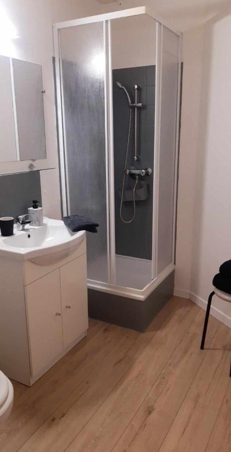 Studio O Grand Canal ! Тулуза Екстер'єр фото